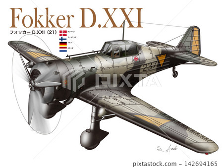 福克D.XXI 福克D.XXI 142694165