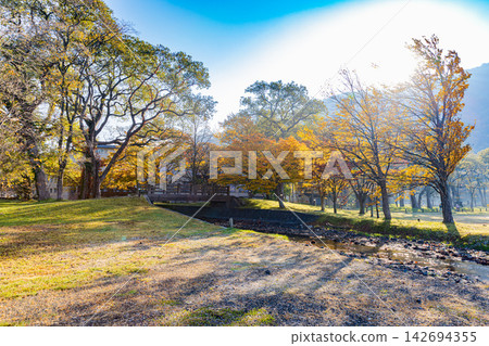Beautiful autumn scenery of Lake Towada, Aomori Prefecture Beautiful autumn scenery of Lake Towada, Aomori Prefecture 142694355