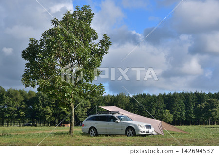Auto camping next to a single tree in a grassy field Auto camping next to a single tree in a grassy field 142694537