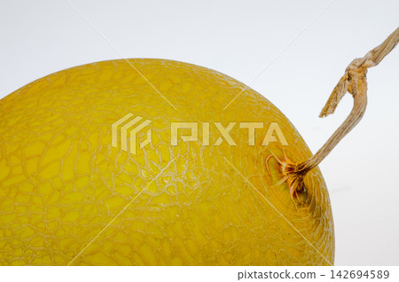 a big round beautiful golden color cantaloup isolated on a white background a big round beautiful golden color cantaloup isolated on a white background 142694589