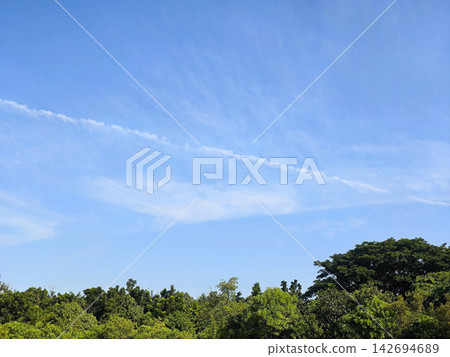 Vapor Trail in a Clear Blue Sky Vapor Trail in a Clear Blue Sky 142694689