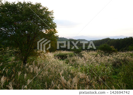 福島縣花輪町,群山環繞的鄉村,秋日黃昏的景象。 福島縣花輪町,群山環繞的鄉村,秋日黃昏的景象。 142694742