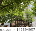 銀座的綠樹成蔭的街道 142694957