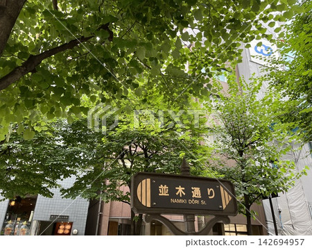 銀座的綠樹成蔭的街道 142694957