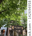 銀座的綠樹成蔭的街道 142694958