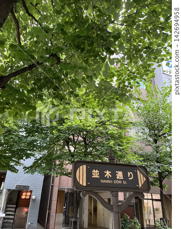 銀座的綠樹成蔭的街道 銀座的綠樹成蔭的街道 142694958