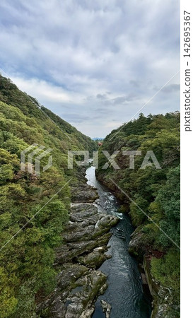從高處俯瞰日本峽谷 從高處俯瞰日本峽谷 142695367