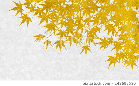 Japanese-style silhouette art featuring realistic maple leaves drawn with gold leaf Japanese-style silhouette art featuring realistic maple leaves drawn with gold leaf 142695550