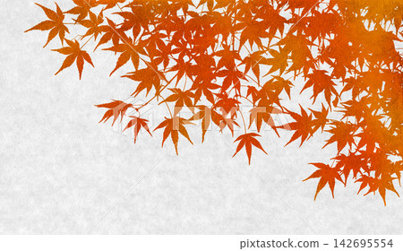 楓樹剪影藝術，深紅色的秋天背景 142695554