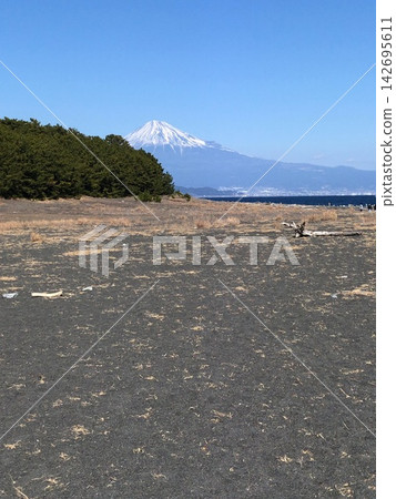 典型的日本自然風光,富士山,海岸線 典型的日本自然風光,富士山,海岸線 142695611