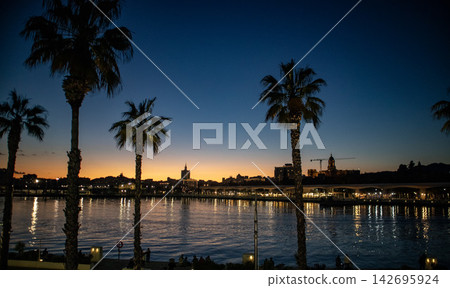 palm trees at sunset 142695924
