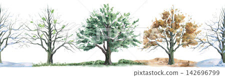Four seasonal oak trees: summer, autumn, winter, and spring in a seamless border. Isolated watercolor illustration for calendars, children's rooms, eco-parks, cafe menus, and craft tea packaging. Four seasonal oak trees: summer, autumn, winter, and spring in a seamless border. Isolated watercolor illustration for calendars, children's rooms, eco-parks, cafe menus, and craft tea packaging. 142696799