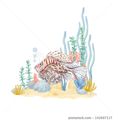 Watercolor corner scene with lionfish on sandy seabed isolated on white background. Hand drawn marine element with coral, seaweed and sponges for children underwater adventure design Watercolor corner scene with lionfish on sandy seabed isolated on white background. Hand drawn marine element with coral, seaweed and sponges for children underwater adventure design 142697117