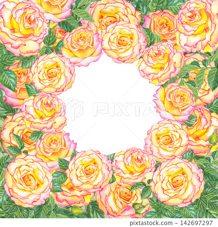 Watercolor square floral frame with yellow pink roses, buds and green leaves. Botanical illustration isolated on white background hand painted realistic flowers for wedding invitation 142697297