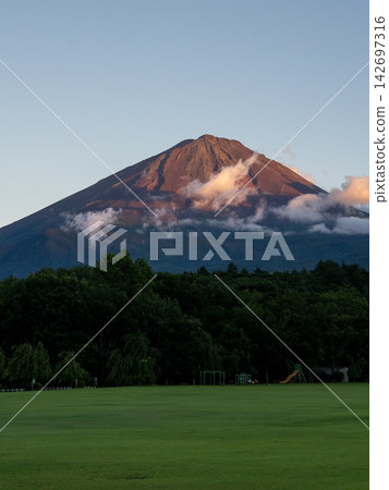 富士山沐浴在紅色的燈光下,周圍是一片綠茵的草坪。 富士山沐浴在紅色的燈光下,周圍是一片綠茵的草坪。 142697316