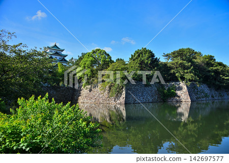 Aichi Prefecture: Nagoya Castle keep in deep green Aichi Prefecture: Nagoya Castle keep in deep green 142697577