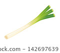 Green onion, flat illustration 142697639