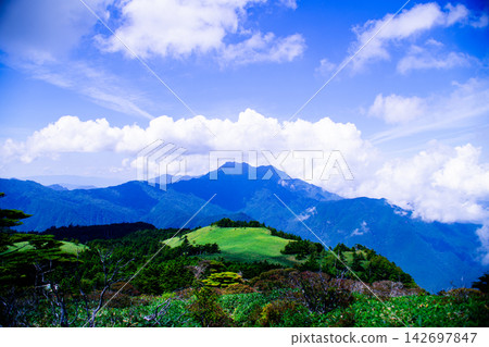 Landscape with green Landscape with green 142697847