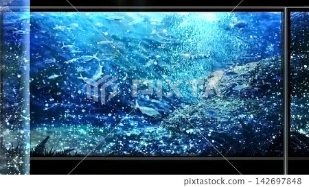遊戲背景:夜間水族館 遊戲背景:夜間水族館 142697848