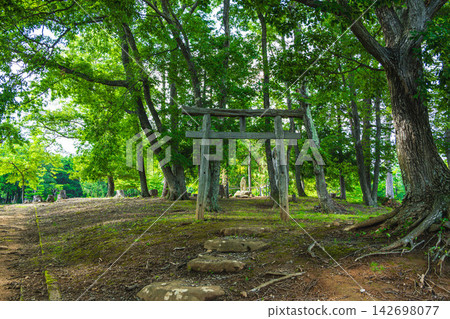 The wooden torii gate of Kuwagata Shrine stands amidst the lush green forest. The wooden torii gate of Kuwagata Shrine stands amidst the lush green forest. 142698077