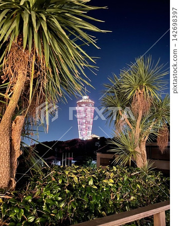 The illuminated Enoshima Sea Candle viewed through the palm trees The illuminated Enoshima Sea Candle viewed through the palm trees 142698397