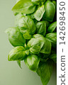 basil   142698450