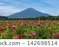 Mt. Hyakusou and Mt. Fuji 142698514