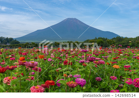 Hyakusou山和富士山 Hyakusou山和富士山 142698514