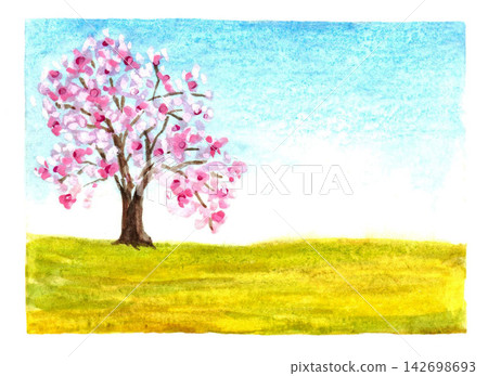 Hand drawn watercolor colorful gentle simple landscape, lonely, blossoming tree of sakura, cherry, blue clear sky and green meadow. Pink flowers, branches, grass for spring design, holidays, Hanami. 142698693