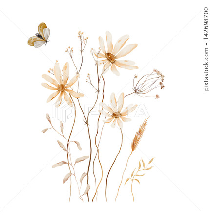 Hand-painted watercolor bouquet of beige wildflowers, dried grasses, wheat and a moth on white background. Neutral autumn arrangement in cream and tan tones, boho botanical spray. Hand-painted watercolor bouquet of beige wildflowers, dried grasses, wheat and a moth on white background. Neutral autumn arrangement in cream and tan tones, boho botanical spray. 142698700