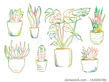 室內植物套裝材料 室內植物套裝材料 142698786