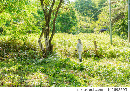 Japanese man mowing weeds with a lawnmower Japanese man mowing weeds with a lawnmower 142698895