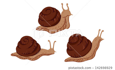 Set of Cute Brown Garden Snails with Spiral Shells and Tentacles. Cartoon Mollusks in Different Poses Isolated on White Background. Adorable Slow Creatures for Nature or Animal Designs Set of Cute Brown Garden Snails with Spiral Shells and Tentacles. Cartoon Mollusks in Different Poses Isolated on White Background. Adorable Slow Creatures for Nature or Animal Designs 142698929