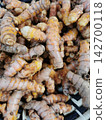curcuma root background 142700118