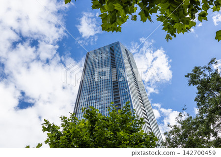 Low angle view of tall glass office tower framed by foliage Low angle view of tall glass office tower framed by foliage 142700459