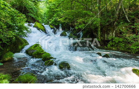 waterfall in deep forest waterfall in deep forest 142700666