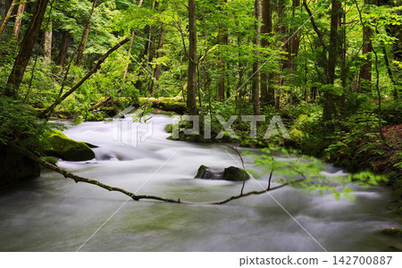 waterfall in deep forest waterfall in deep forest 142700887