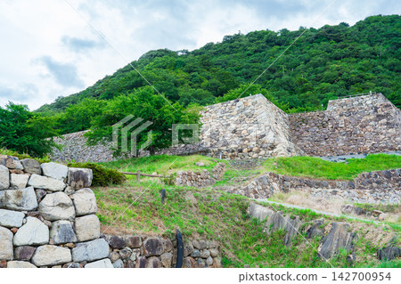 鳥取城遺址的石牆，鳥取市 142700954