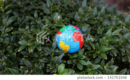 Wintergreen Box Bush With Small Model Earth On It. Stock Photo For Nature Conservation Illustration 142701046