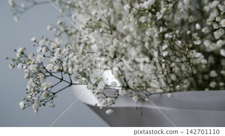 Gypsophila paniculata flowers in a bouquet Gypsophila paniculata flowers in a bouquet 142701110