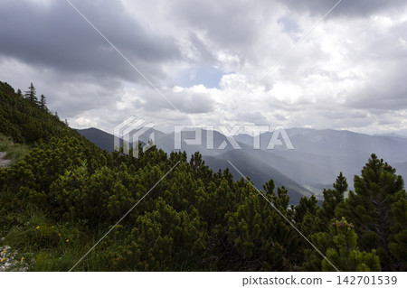 Mountain hiking at Brecherspitze mountain, Bavaria, Germany in summertime Mountain hiking at Brecherspitze mountain, Bavaria, Germany in summertime 142701539