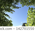 夏天的藍天白雲 142701550