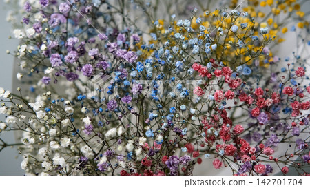 Gypsophila paniculata flowers in a bouquet Gypsophila paniculata flowers in a bouquet 142701704