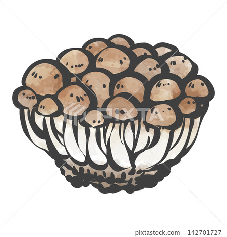 Shimeji 手繪毛筆繪畫風格插畫 Shimeji 手繪毛筆繪畫風格插畫 142701727
