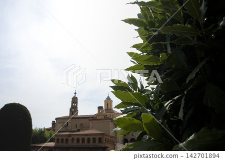 Bay laurel leaves framing a brick church bell tower in Tarazona, Aragon, Spain Bay laurel leaves framing a brick church bell tower in Tarazona, Aragon, Spain 142701894