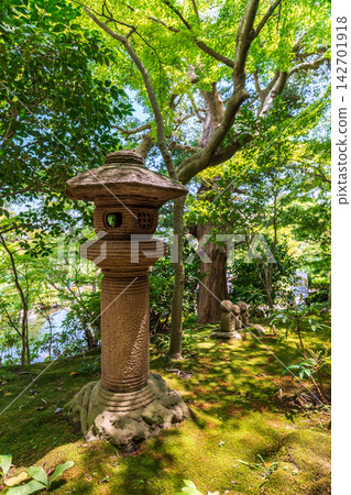Traditional stone lantern in lush garden at Hase-dera temple in Kamakura Japan Traditional stone lantern in lush garden at Hase-dera temple in Kamakura Japan 142701918