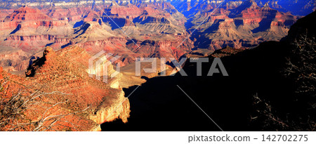 Grand Canyon Arizona Grand Canyon Arizona 142702275