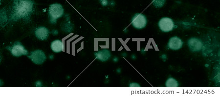 Black Background with Soft Green Bokeh Lights and Abstract Glowing Effects 142702456