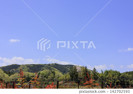栃木縣宇都宮市大矢町覆蓋著綠色的大矢石岩層和奇特的岩石構造 栃木縣宇都宮市大矢町覆蓋著綠色的大矢石岩層和奇特的岩石構造 142702593