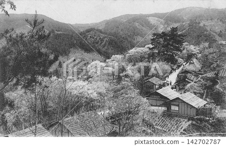 Old photograph, 1907-1918, Nara Prefecture, Yoshino Mountain, Shimo-senbon, cherry blossoms at Sekiya-zaka. Old photograph, 1907-1918, Nara Prefecture, Yoshino Mountain, Shimo-senbon, cherry blossoms at Sekiya-zaka. 142702787